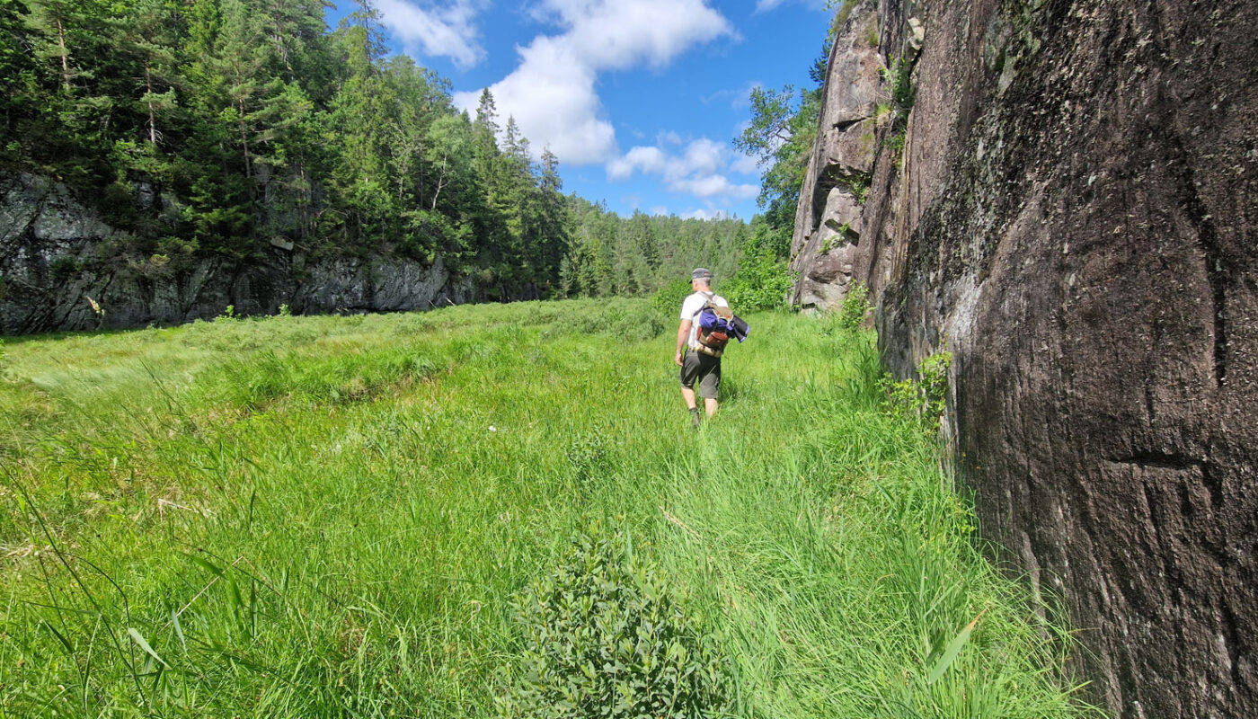 Intakt natur på Omre