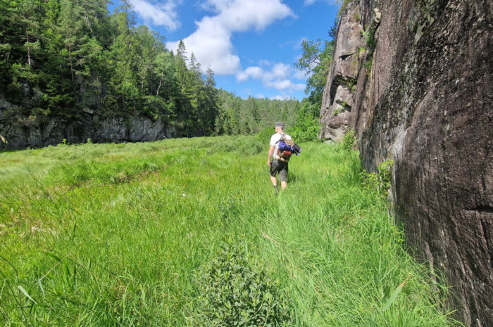 Det er vår kraft, og vi vasser i den