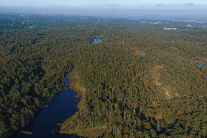 INFORMASJON OM OPPROPET PÅ FORBRUKERMAKT, KOMMUNESTYRE-BEHANDLING OG LITT MER OM VINDKRAFT