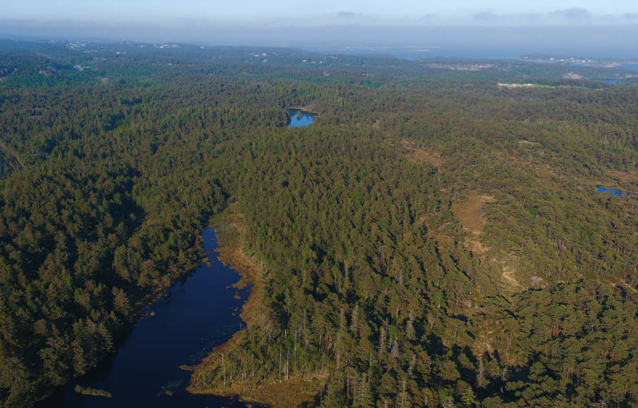 INFORMASJON OM OPPROPET PÅ FORBRUKERMAKT, KOMMUNESTYRE-BEHANDLING OG LITT MER OM VINDKRAFT